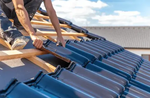 Couverture - Les Premiers Sapins