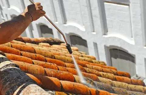 Nettoyage de toitures - Les Premiers Sapins